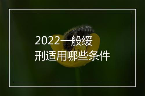 2022一般缓刑适用哪些条件