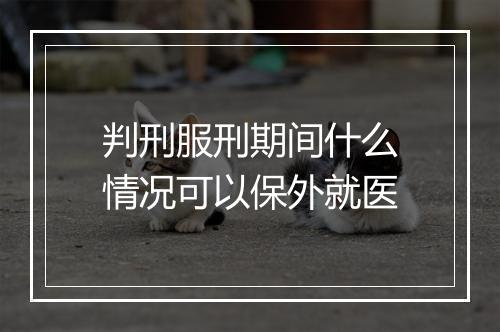 判刑服刑期间什么情况可以保外就医