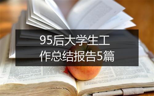 95后大学生工作总结报告5篇