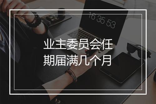 业主委员会任期届满几个月