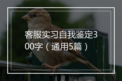 客服实习自我鉴定300字（通用5篇）