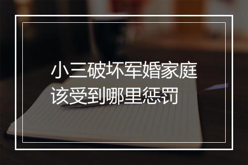 小三破坏军婚家庭该受到哪里惩罚