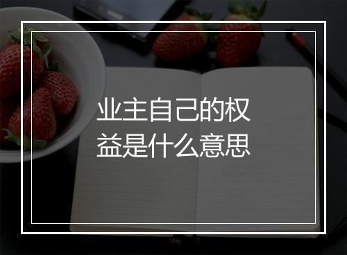 业主自己的权益是什么意思