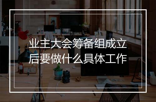 业主大会筹备组成立后要做什么具体工作