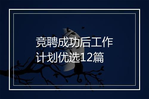 竞聘成功后工作计划优选12篇