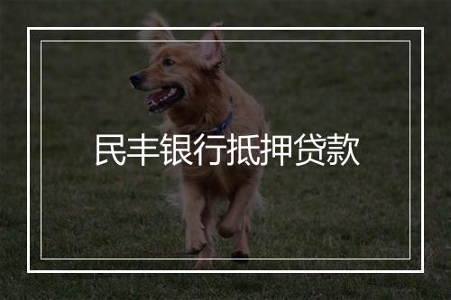 民丰银行抵押贷款