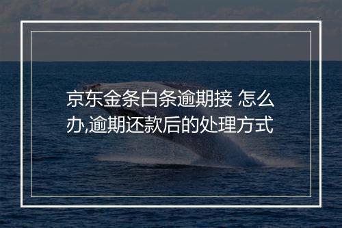 京东金条白条逾期接 怎么办,逾期还款后的处理方式