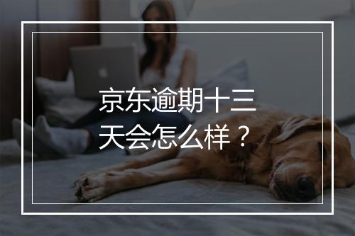 京东逾期十三天会怎么样？