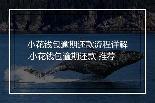 小花钱包逾期还款流程详解,小花钱包逾期还款 推荐