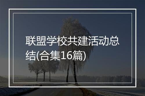 联盟学校共建活动总结(合集16篇)