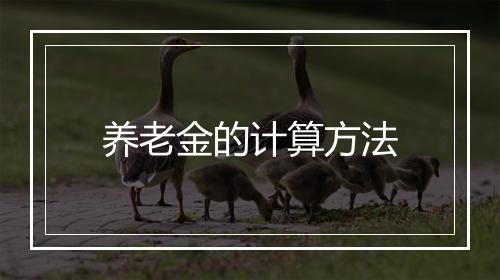 养老金的计算方法