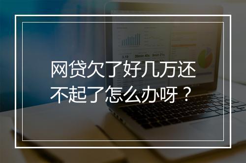 网贷欠了好几万还不起了怎么办呀？