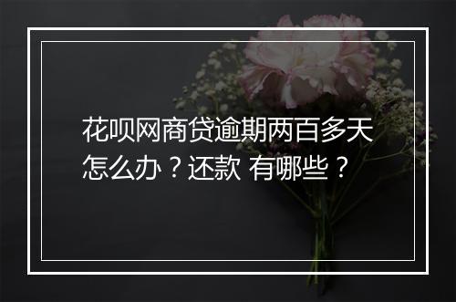 花呗网商贷逾期两百多天怎么办？还款 有哪些？