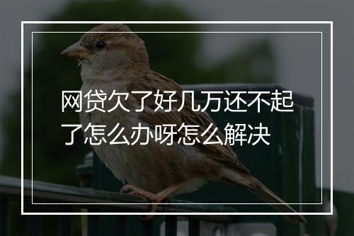网贷欠了好几万还不起了怎么办呀怎么解决