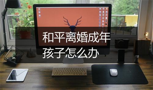 和平离婚成年孩子怎么办