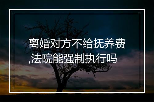 离婚对方不给抚养费,法院能强制执行吗