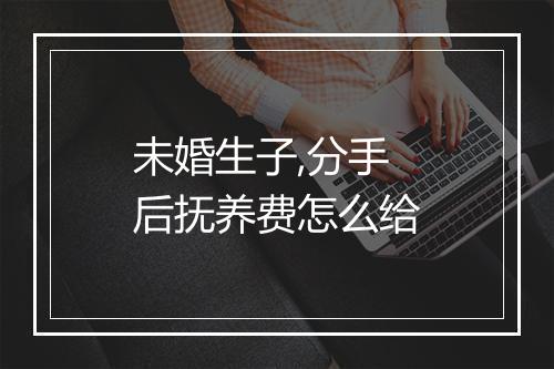 未婚生子,分手后抚养费怎么给