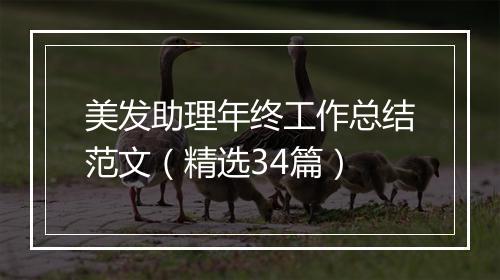 美发助理年终工作总结范文（精选34篇）