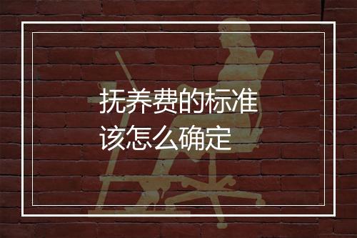 抚养费的标准该怎么确定
