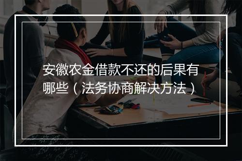 安徽农金借款不还的后果有哪些（法务协商解决方法）