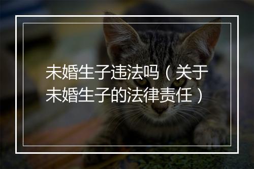 未婚生子违法吗（关于未婚生子的法律责任）