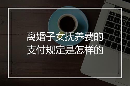 离婚子女抚养费的支付规定是怎样的