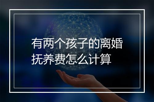 有两个孩子的离婚抚养费怎么计算