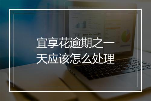 宜享花逾期之一天应该怎么处理