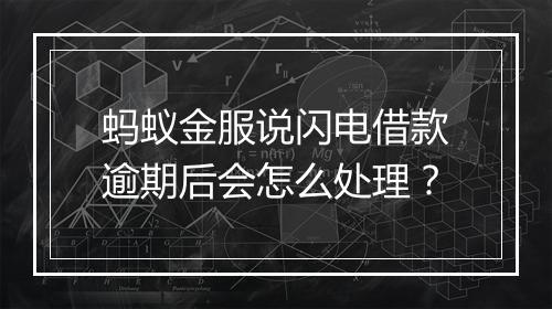 蚂蚁金服说闪电借款逾期后会怎么处理？