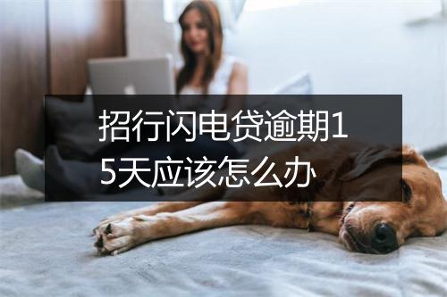 招行闪电贷逾期15天应该怎么办