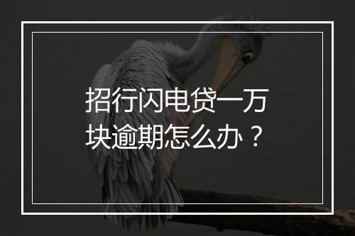 招行闪电贷一万块逾期怎么办？