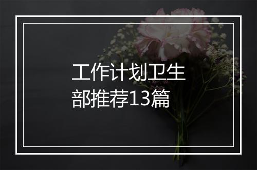 工作计划卫生部推荐13篇