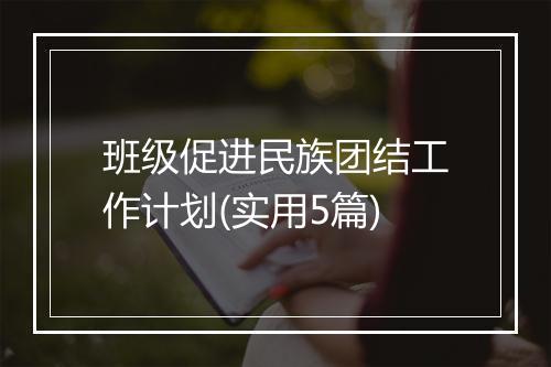 班级促进民族团结工作计划(实用5篇)