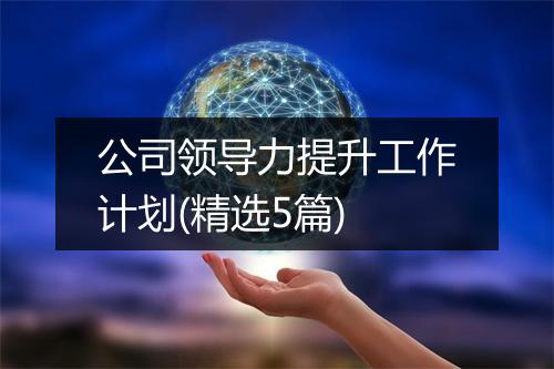 公司领导力提升工作计划(精选5篇)