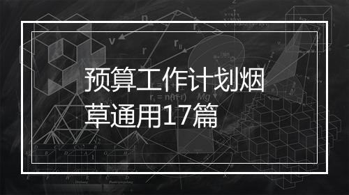 预算工作计划烟草通用17篇