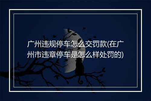 广州违规停车怎么交罚款(在广州市违章停车是怎么样处罚的)