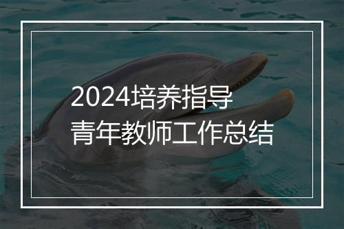 2024培养指导青年教师工作总结