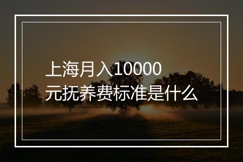 上海月入10000元抚养费标准是什么