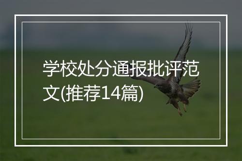 学校处分通报批评范文(推荐14篇)