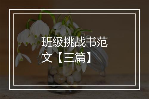 班级挑战书范文【三篇】