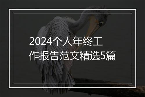 2024个人年终工作报告范文精选5篇