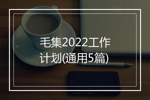 毛集2022工作计划(通用5篇)
