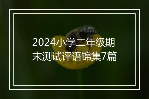 2024小学二年级期末测试评语锦集7篇