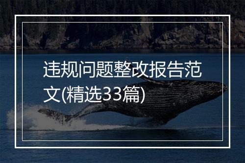 违规问题整改报告范文(精选33篇)