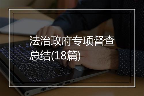 法治政府专项督查总结(18篇)
