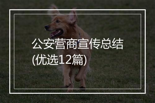 公安营商宣传总结(优选12篇)