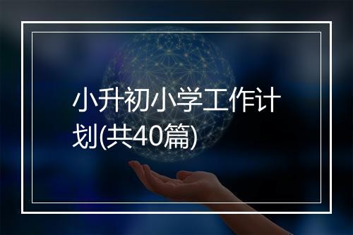 小升初小学工作计划(共40篇)
