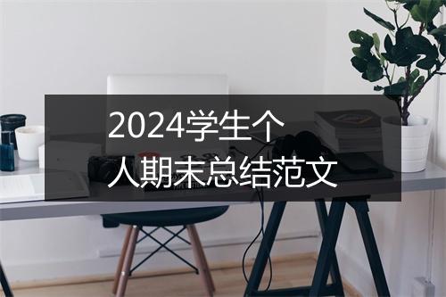 2024学生个人期末总结范文