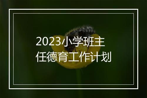 2023小学班主任德育工作计划