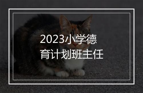 2023小学德育计划班主任